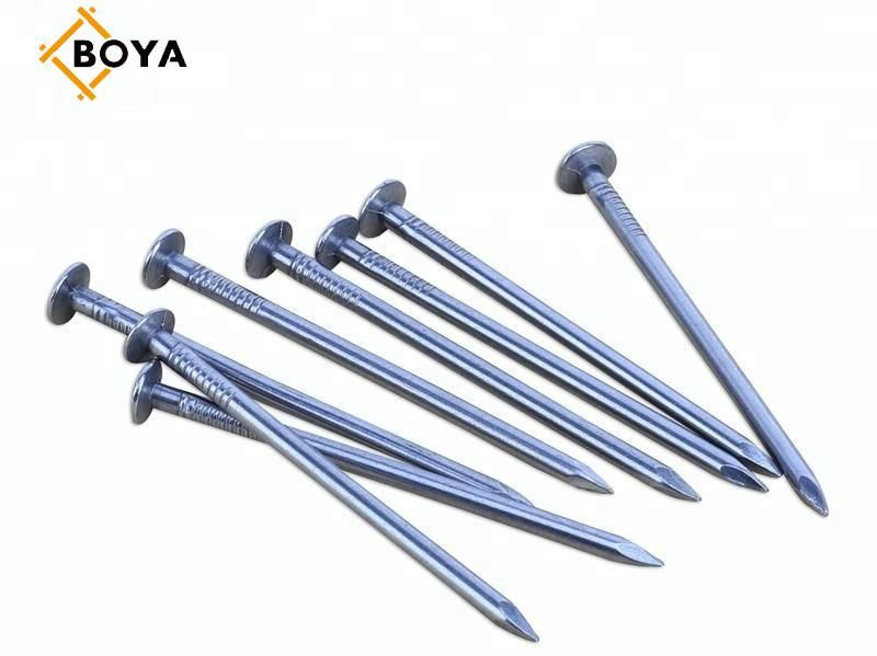 ISO Standard and Iron Material Common Iron Nails China Factory
