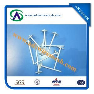 High Quality Galvanized Umbrella Head Roofing Nail (ADS-RN-03)
