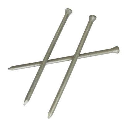 Popular Product on Sale Hot Dipped Galvanized Jolthead Nail
