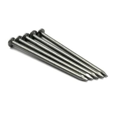 Smooth Shank Common Nail Iron Nail with Factory Price