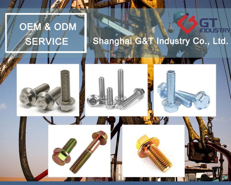 Stainless Steel Hex Bolt/Carriage Bolt/Flange Bolt/T Bolt/Square Head Bolt/Hex Socket Cap Screw/Square Bolt/Wing Bolt/Eye Bolt/Knurled Bolt/Stud Bolt