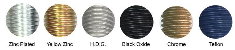 Stainless Steel SS304 SS316 Carbon Steel Gr. 4.8/6.8/8.8 Blue White Color Yellow Black Zinc Plated Carriage Bolt