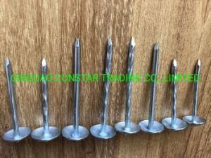 9g*2.5&quot; Galvanized Smooth and Twisted Shank Roofing Nails