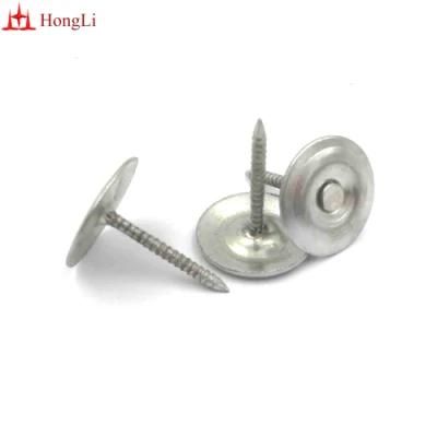 Poland Hot Sale 5kg 2.8X28mm Electro Galvanized Metal Round Cap Nail