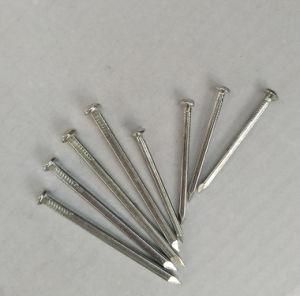 Galvanized Square Boat Nail with Low Price