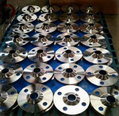 High Quality Customized Stainless Steel Forging Flanges SS304
