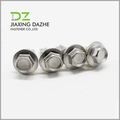 Stainless Steel Screw Hex Head Self Drilling Screw with Plastic Washer