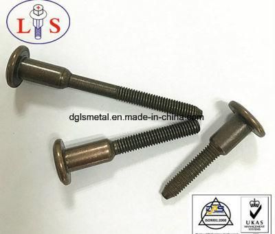 1/4 Flat Head Hexagonal Socket Step Bolts