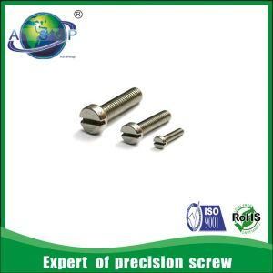 Precision Screw for Watch Slotted Screws