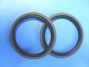 Auto Parts Good Performance Polytetrafluoroethylene Glyd Ring