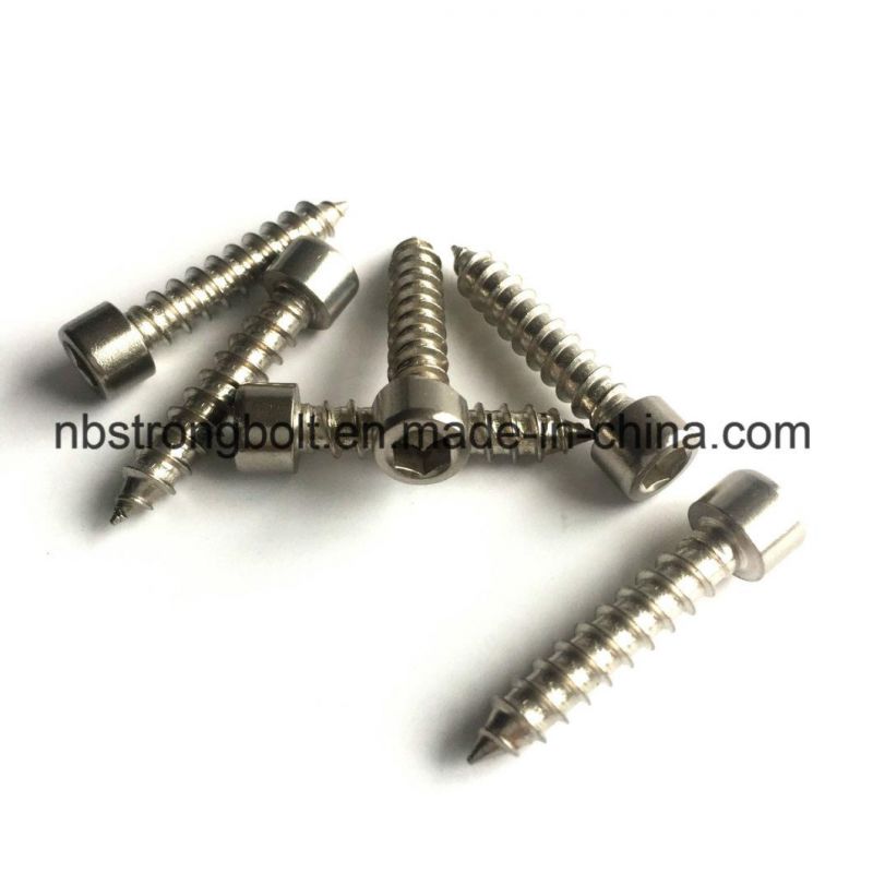 Self Tapping Screw/Hexagon Socket Cap Screw