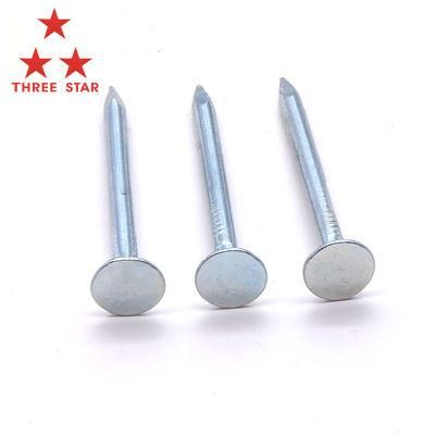 China Flat Head Roofing Nail, Clout Nail