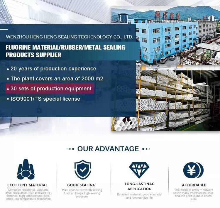 Full Standard High Performance Custom Heat Resistant Fluorine Concrete Pump Rubber Gasket Sealing Gasket Pipe FKM Gasket