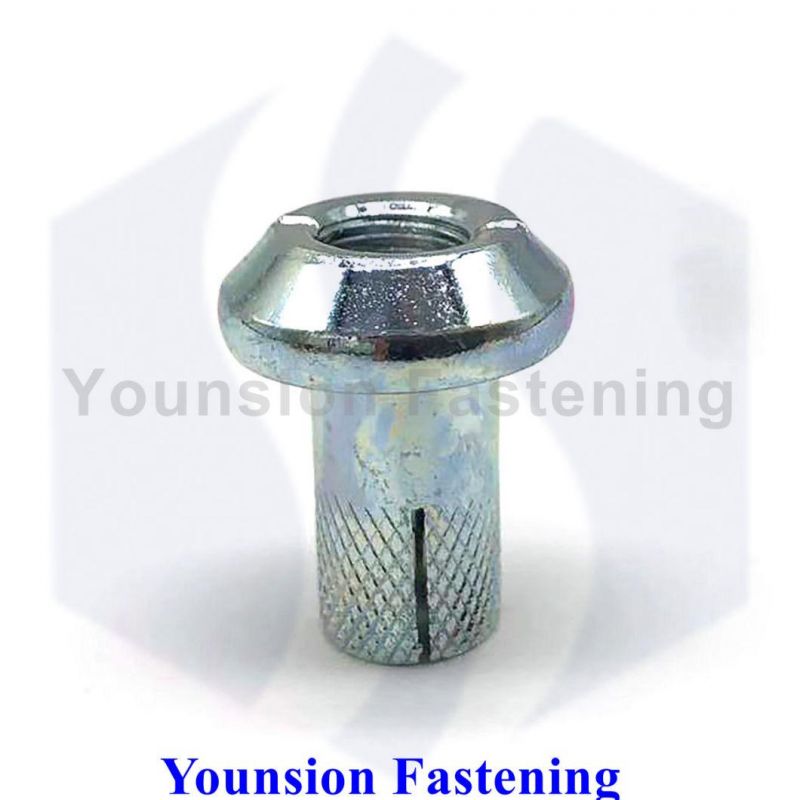 Bsw ANSI DIN Single or Double Knurling Drop-in Anchor in OEM ODM with Shining Zinc Plating