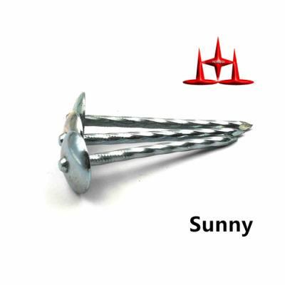 China Supplier Galvanized Bwg12 Bwg11 Twisted Roofing Nails with Umbrella Head