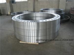 High Pressure Forged Special Flange