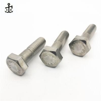 OEM Stainless Steel A2 Special Fasteners DIN 601 Hex Head Bolts Made in China