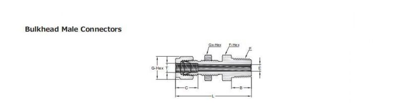 Hikelok NPT Swagelok Type Bulkhead Male Connector Tube Fittings