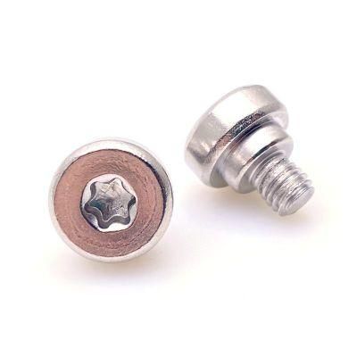 Manufacturer Customized Stainless Steel Cap Torx Head Shoulder Screws