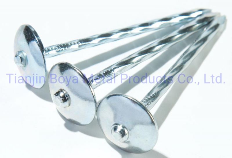 Q195 Steel Galvanized Roofing Nails for Colored Steel Sheet Roof