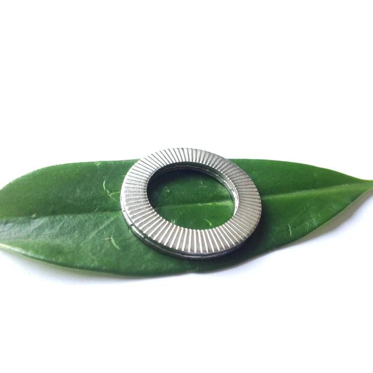 DIN 25201 Carbon Steel Sk5 Wedge Lock Double Washers