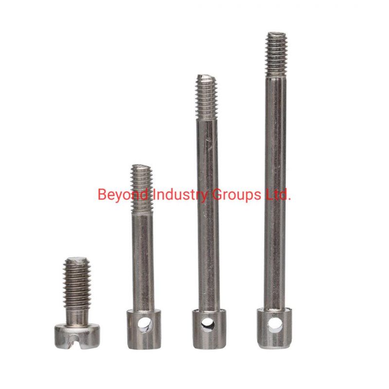 Terminal Cover Screw/Terminal Bolts/Sealing Screw