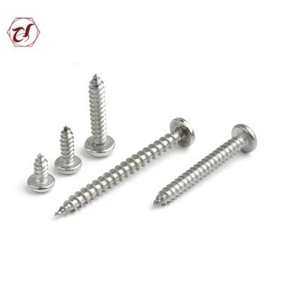 Stainless Steel 304 SS316 A2 Pan Head Self Tapping Screw