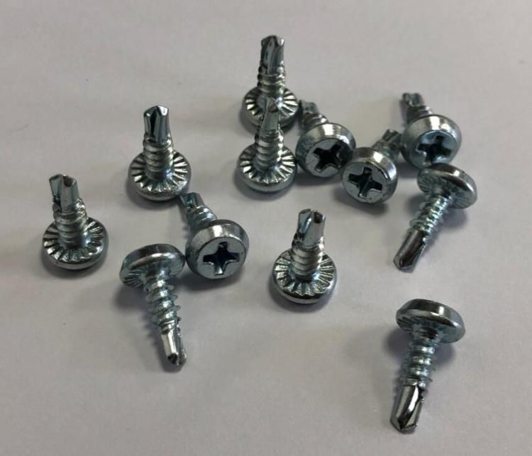 Phillip Drive Pan Framing Head Self Drilling Screw