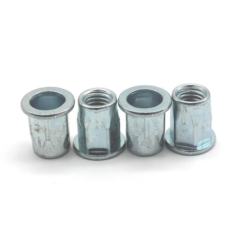 DIN Stainless Steel Hex Insert Nut Rivet Nuts