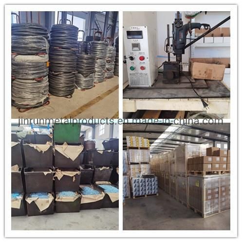 China Wholesale Hexagon Head Self Drilling Roofing Tek Screws