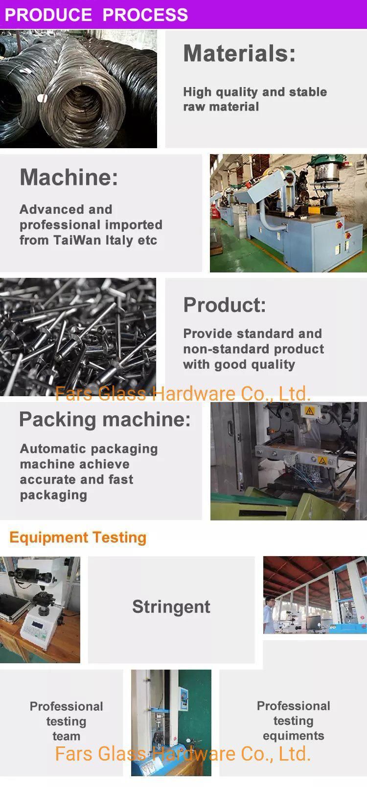 China Rivet Fastener of Metal Rivet
