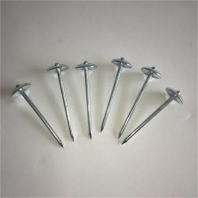 Flat Cap Roofing Nail Machine Galvanized Hemp Rod Roofing Nail Iron Nail
