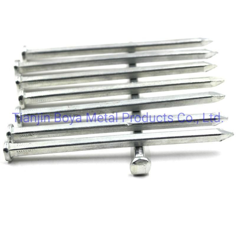 Electro Galvanized Square Boat Nails for Boat Building