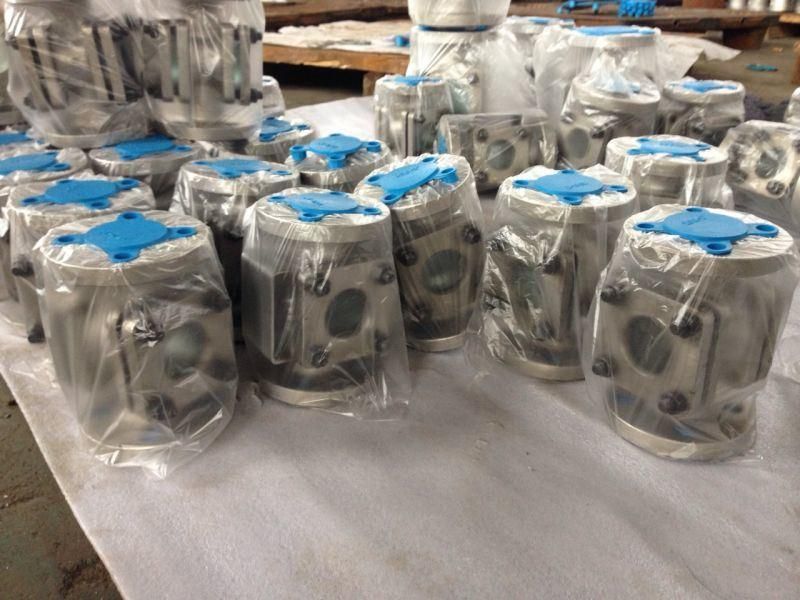 Paddle Flow Indicator Horizontal Vertical Installation Flow Indicator