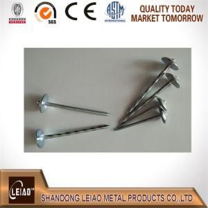 Roofing Nail/Galvanzied Nail with Umbrella Head