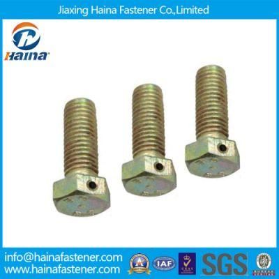 Customized Zinc Plated Hexagonal Slotting Bolt Drilled Bolt