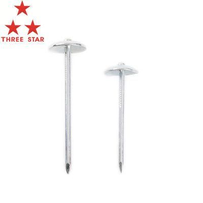 Manufacturer Stainless Steel Galvanized Concrete Carbon Steel Nail Concrete