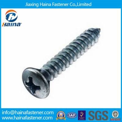 DIN7983 DIN7982 Cross Recessed Raised Countersunk Head Tapping Screws