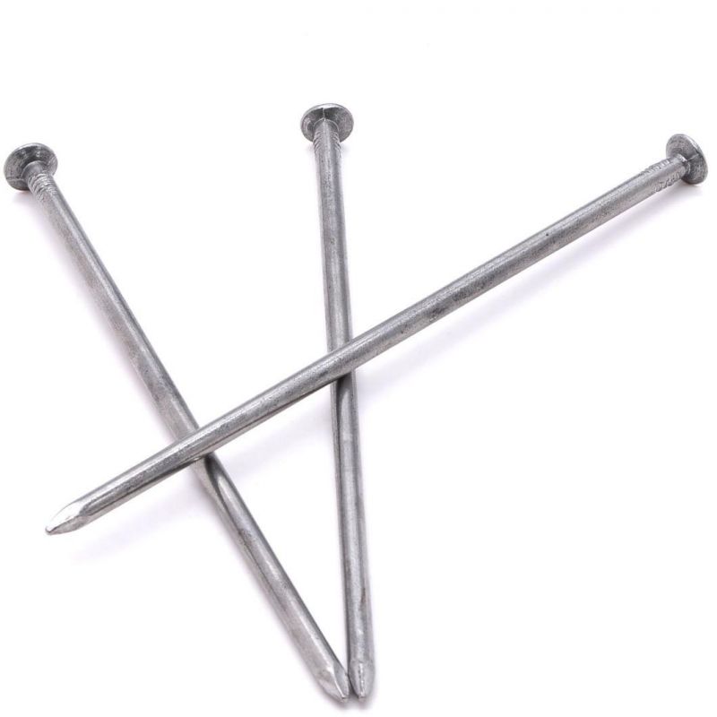 Common Iron Nail Price Per Ton Wire Nails Iron for Wood
