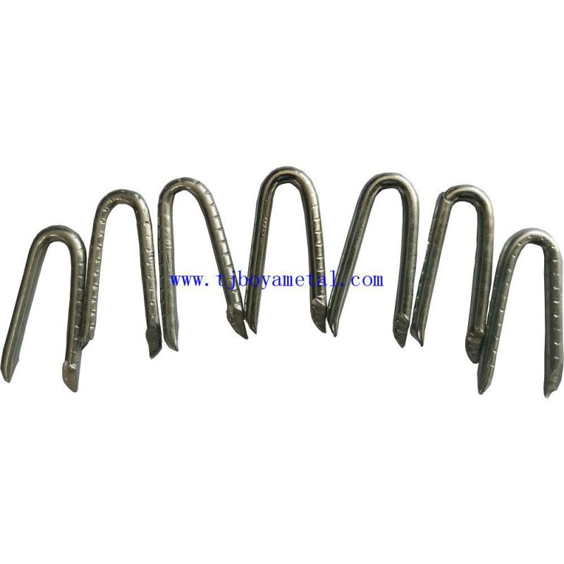 U Type Nail U-Type Nail Wire Nail Price Galvanized U Type Fence SOD Staple / U Type Wire Nail
