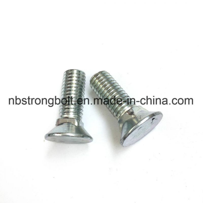 Flat Head Square Neck Screw with White Zinc Plated/Customized Flat Head Screw