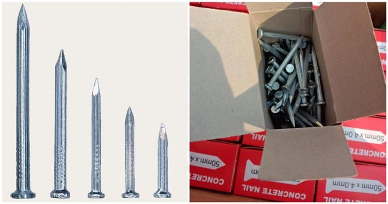 Factory Wholesale 1"-4" Box Packing Qualified Zinc Coated Electric Galvanized / Black Concrete Nails for Africa Nigeria / Ethiopia Market with White Blue Color