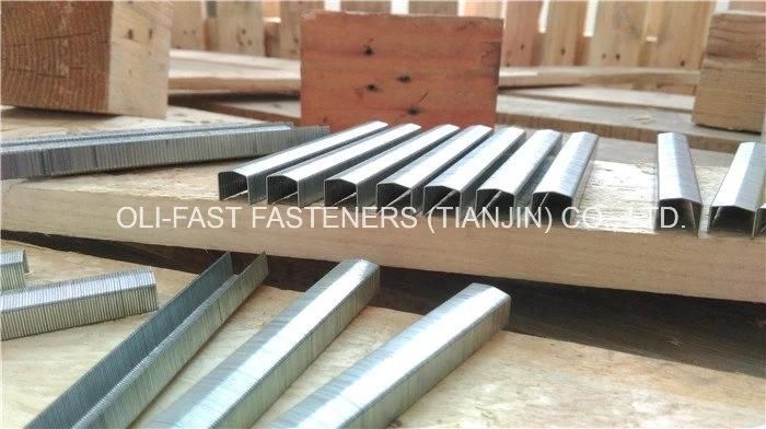 20ga Stanley Stcr 5019 1/2" Stainless Steel Staples, 5, 000/Box