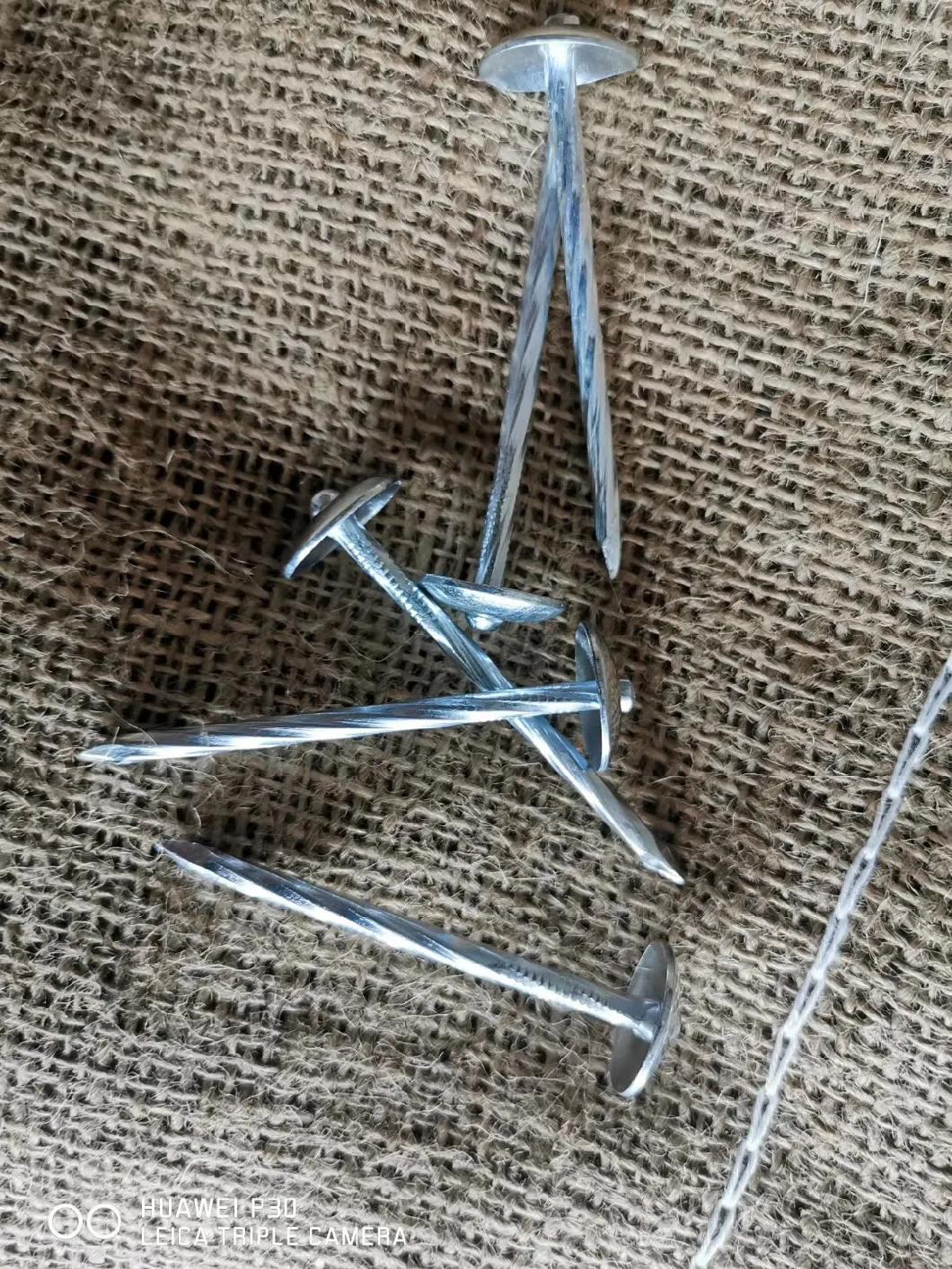 Add to Compareshare2.5"*9bwg Umbrella Roofing Nails with Screw Shank From China