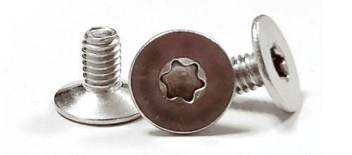 Stainless Steel 304 Big Csk Flat Countersunk Head Torx Screw
