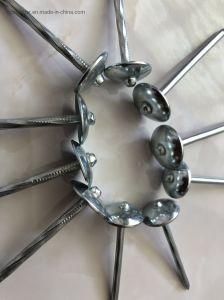Hot Selling Building Roofing Nails with Nice Price