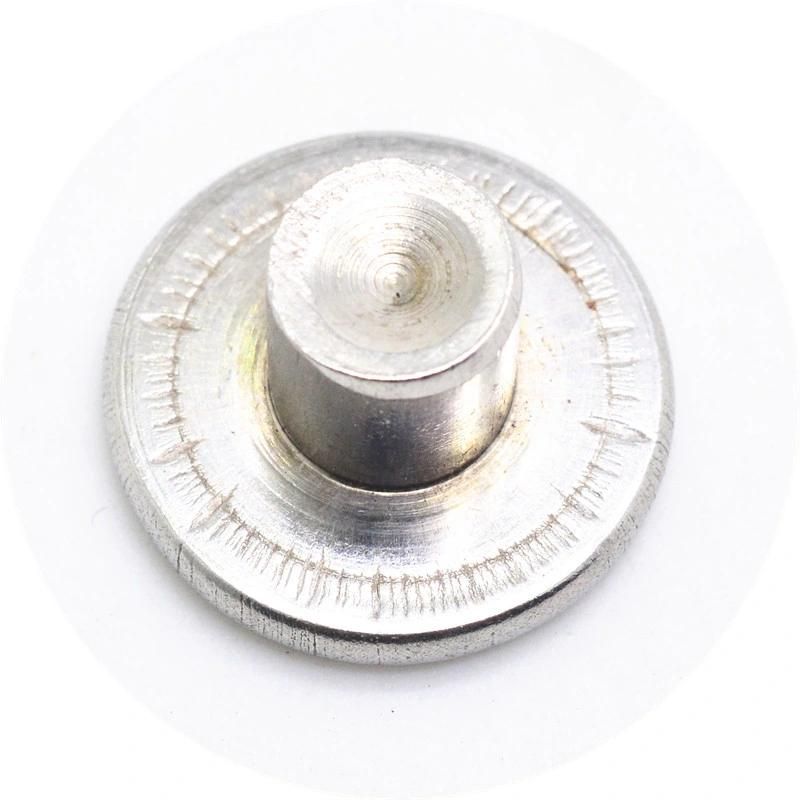 Stainless Steel Flat Head Solid Rivets