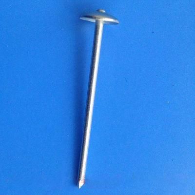 Straight Pole Roofing Nail, Polished Corrugated Nails, Roofing Nail Manufacturer