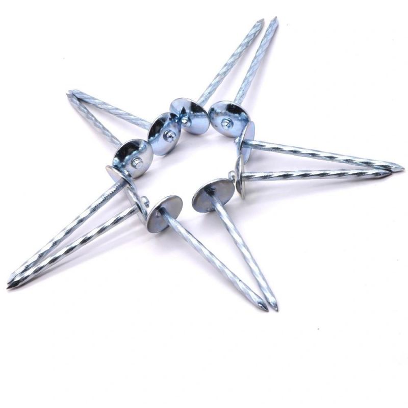 Wholesale Factory Price Common Nails Smooth Shank Roofing Nails with Washer Umbrella Roofing Nails Weight