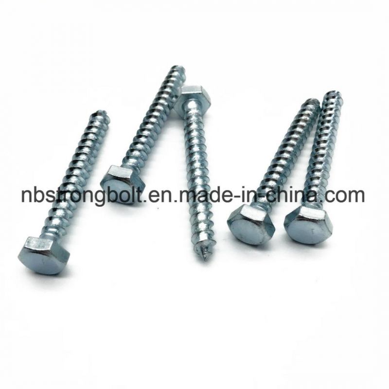 DIN571 Hex Head Lag Screw with Zinc Plated More Than 10 Years Produce Expricence Factory